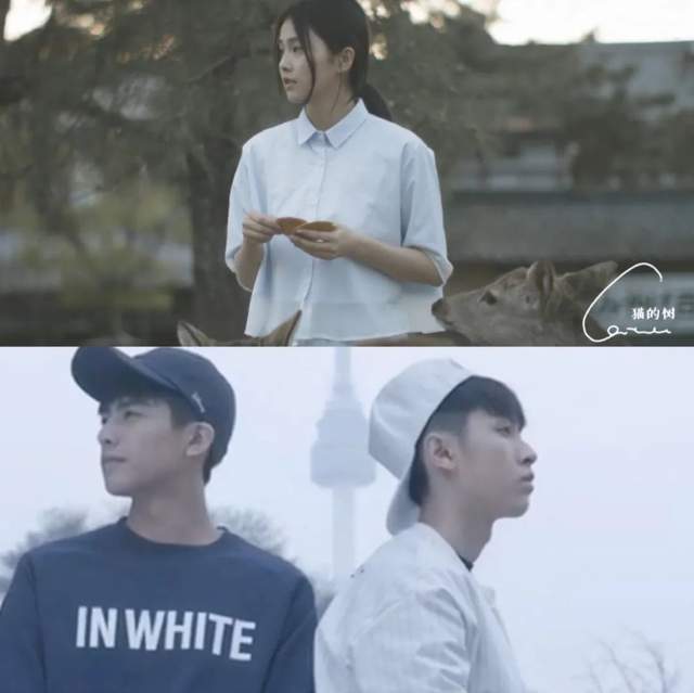 短视频网红攻占娱乐圈