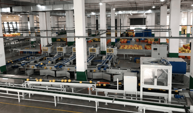 菜鸟科技下乡，打通乡村物流堵点，推动乡村生态升级