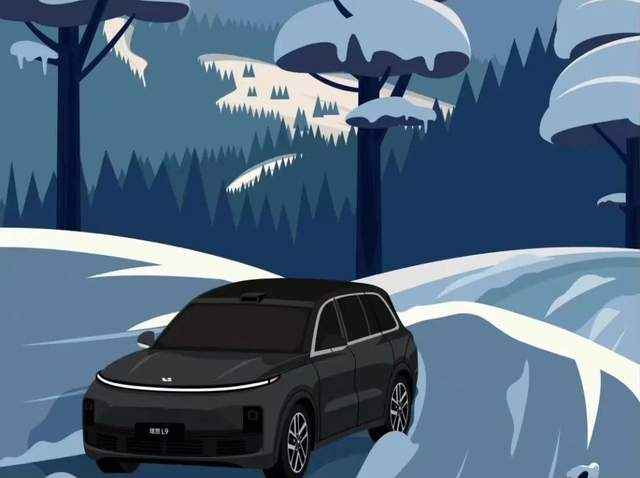 特斯拉大降价，“理蔚华”能顶住吗？