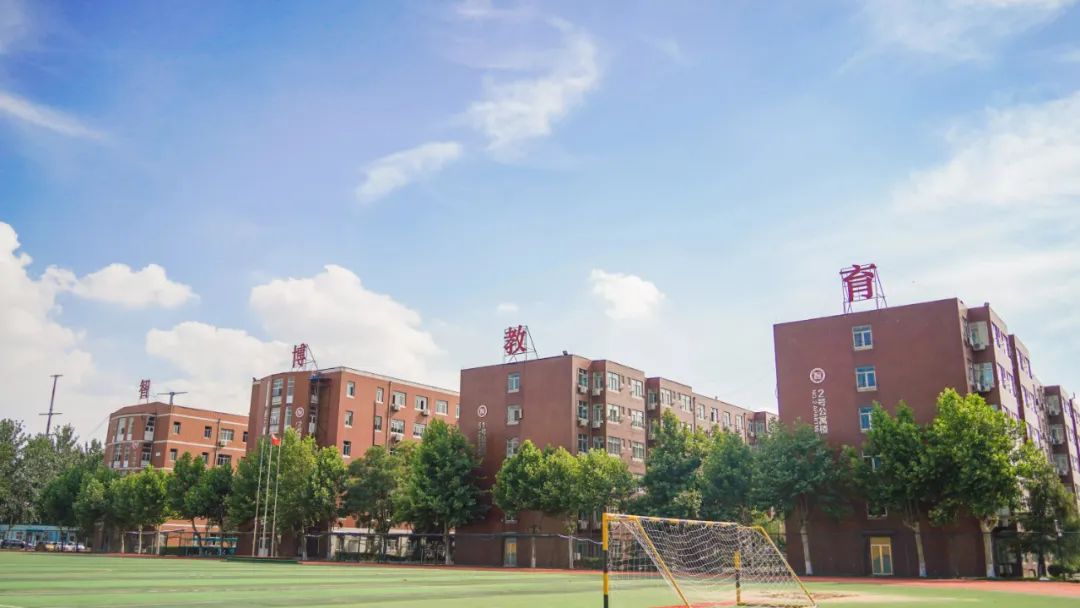 看教育｜山东专升本培训赛道观察实录