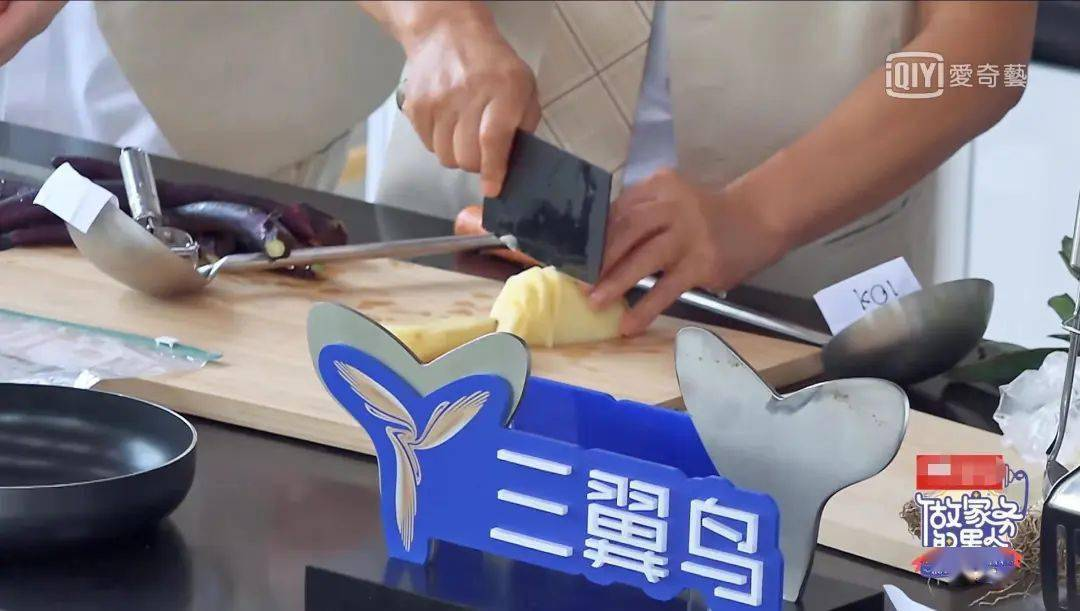 三翼鸟，从做家务开始打破家居生活的“标准范式”