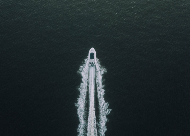 宠物家居出海，谁是最靠谱的水手？