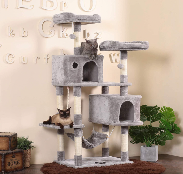 宠物家居出海，谁是最靠谱的水手？