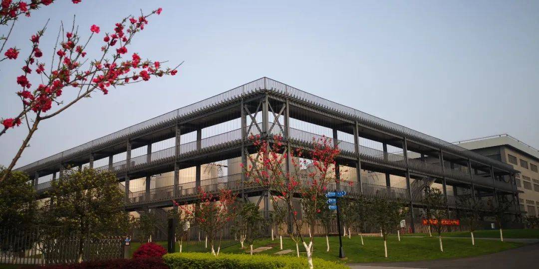 江小白和它孤独的正确