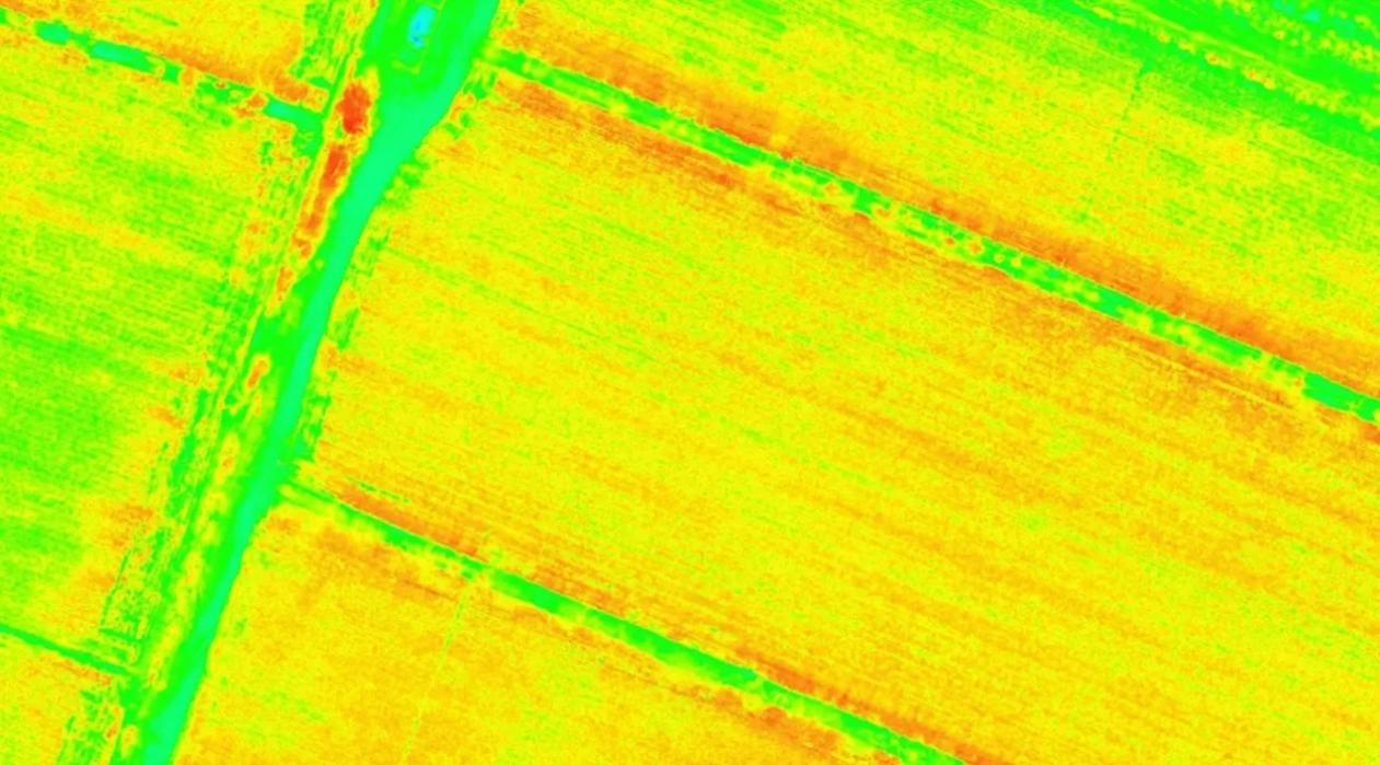 四个关键点落定，昇腾AI推动大模型产业化模式创新