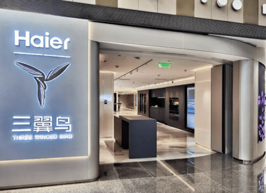 “既要又要还要”不现实，三翼鸟应该接点地气