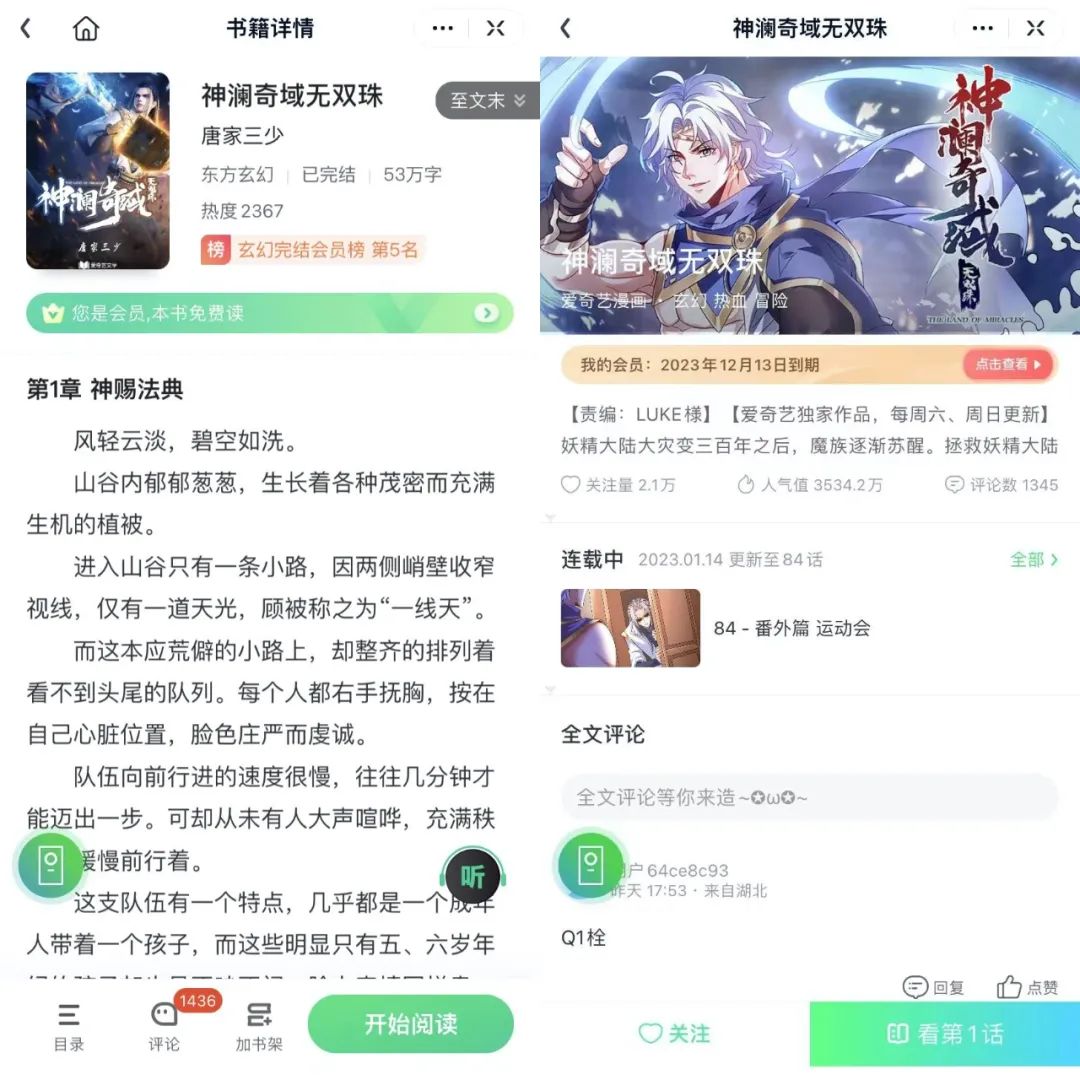 从洛阳、苍兰诀到“神澜宇宙”，爱奇艺“一鱼多吃”的深入探索