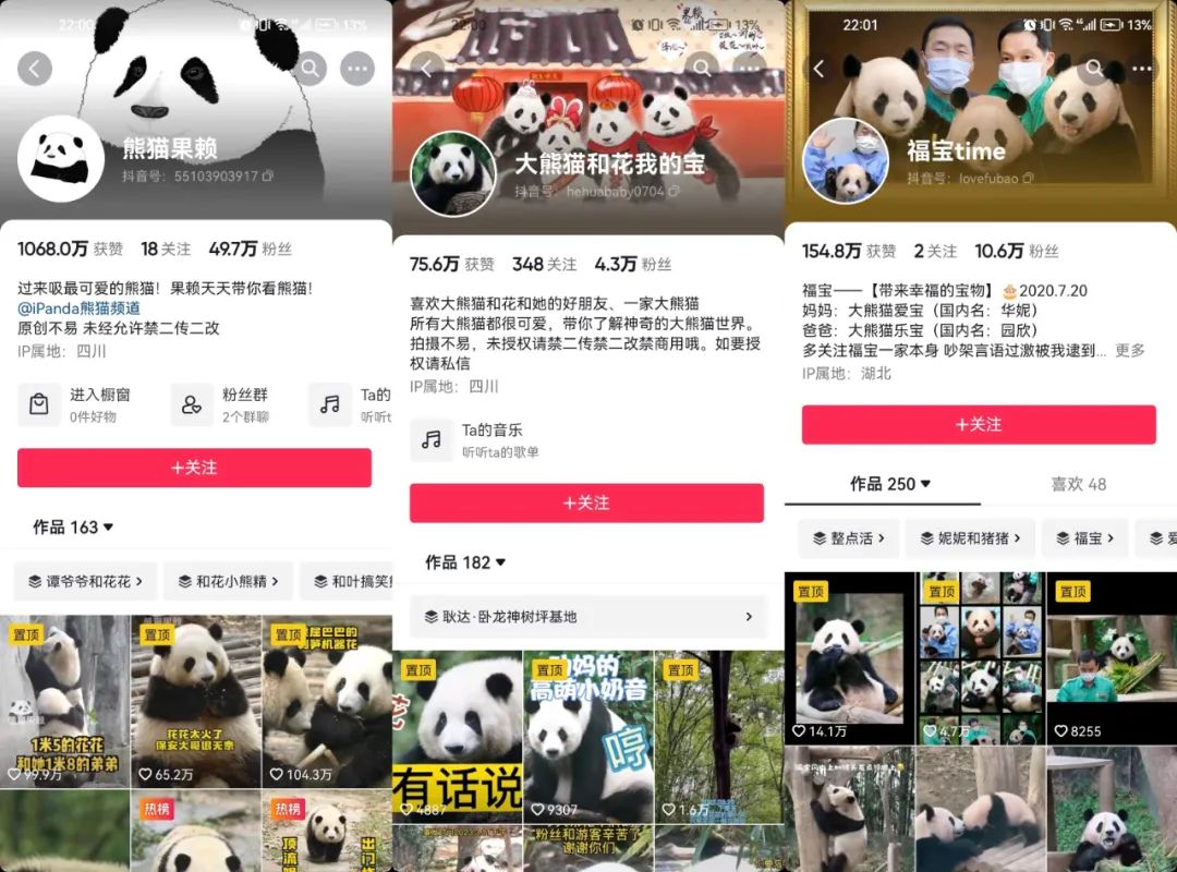 大熊猫“一夜成名”，离不开文体行业多年深耕？