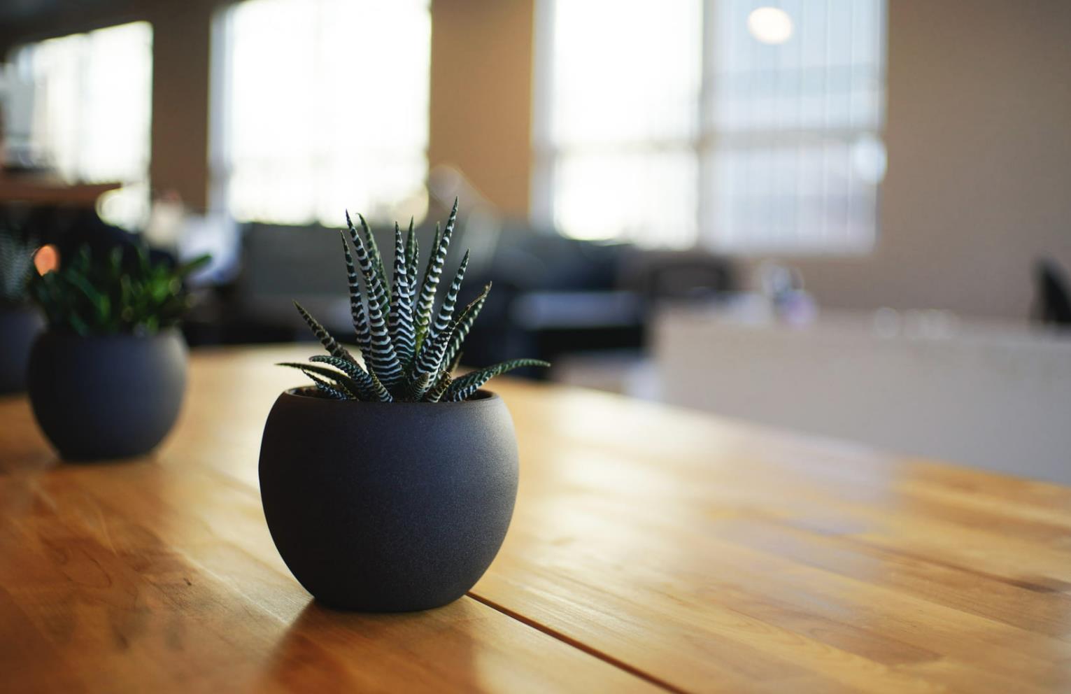 赚不到钱的小红书究竟该不该着急？