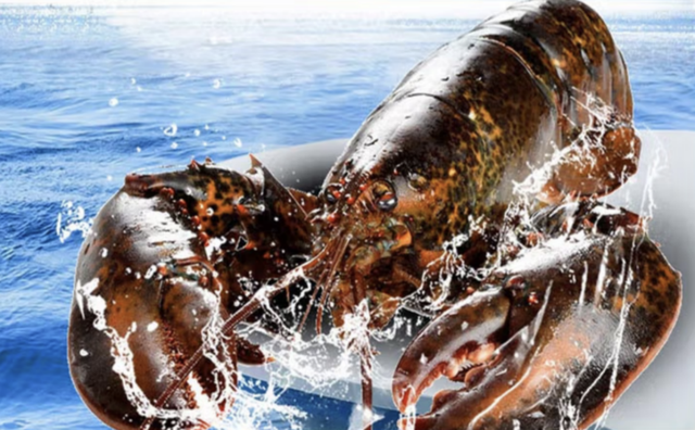 进口跨境电商如何把握“促消费”这一局？