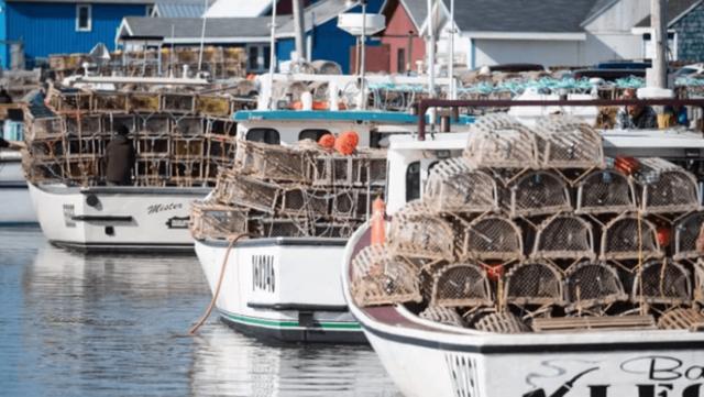 进口跨境电商如何把握“促消费”这一局？