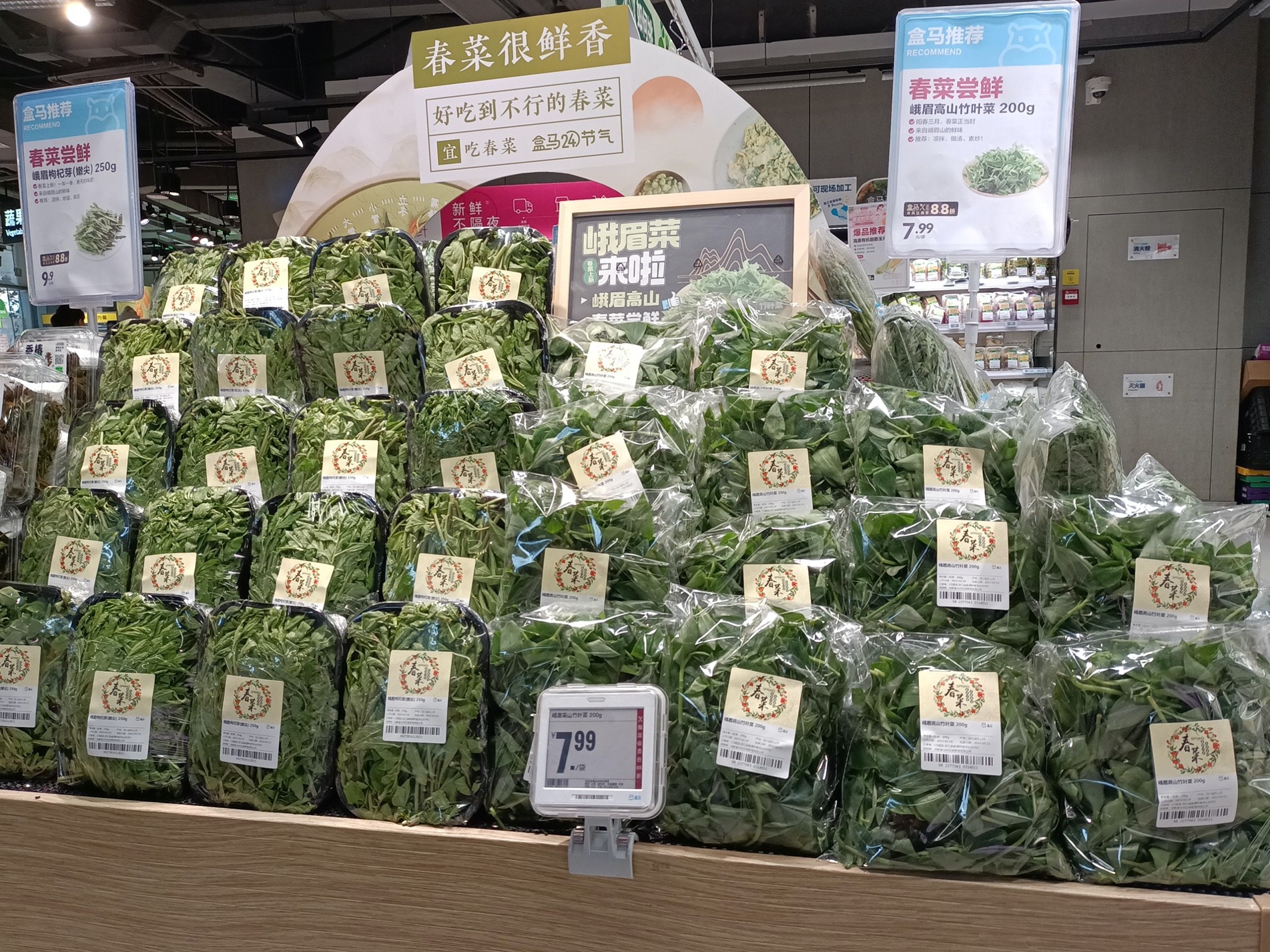 不带“老芽”出山 峨眉春菜直供成都盒区房