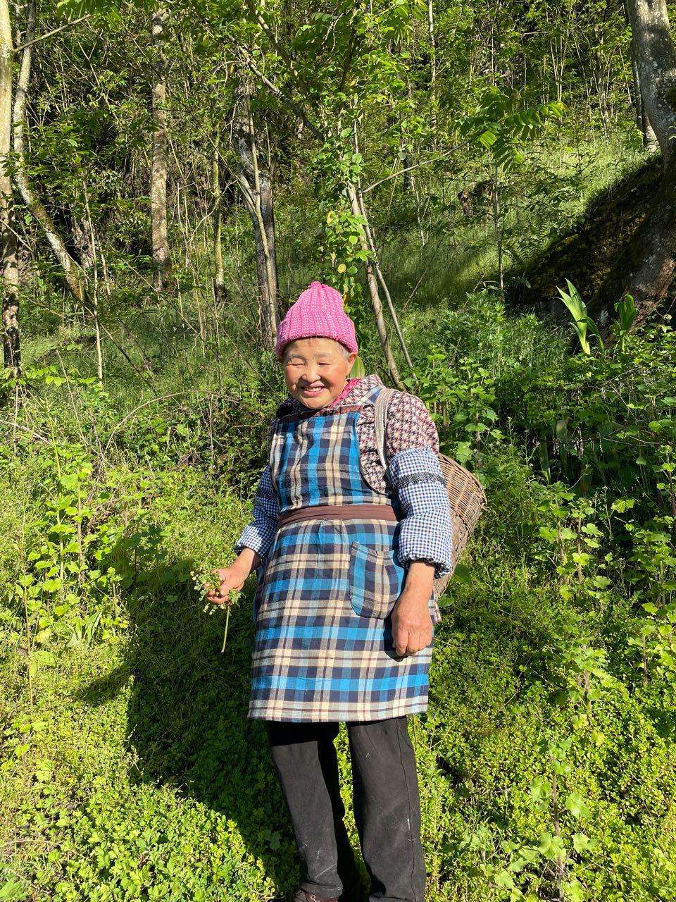 不带“老芽”出山 峨眉春菜直供成都盒区房