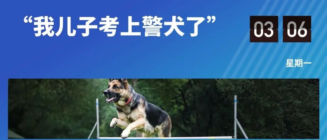 去大学里养狗，到底是多少人的潮流梦想？