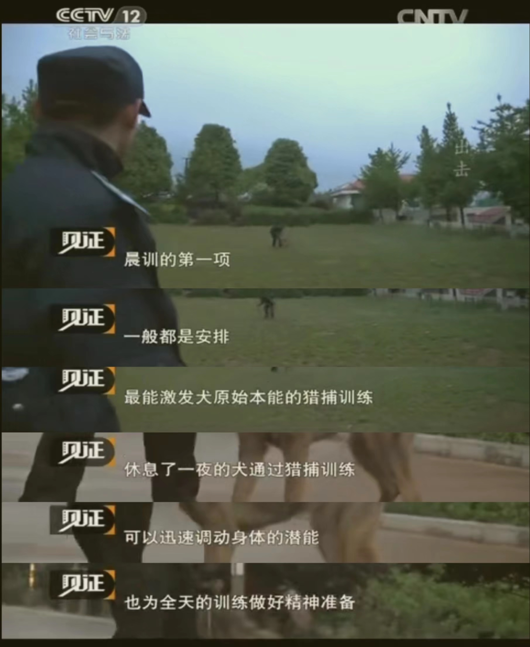 去大学里养狗，到底是多少人的潮流梦想？