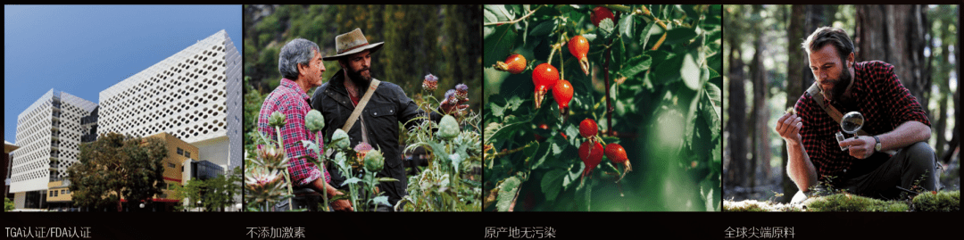 大健康营销的春天：健合集团与艾菲奖宣布战略合作