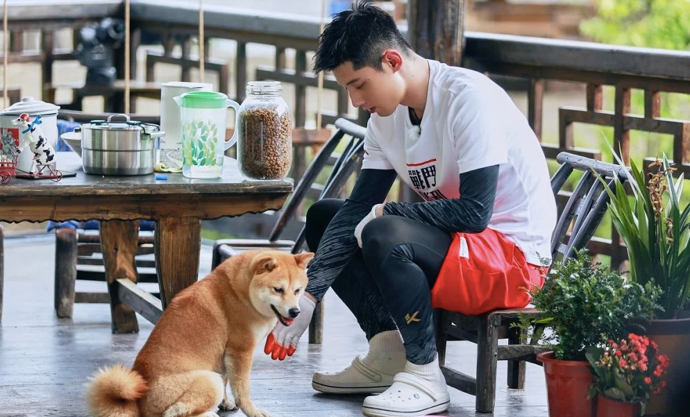 当商业化路径戛然而止，过气体育明星如何转型？