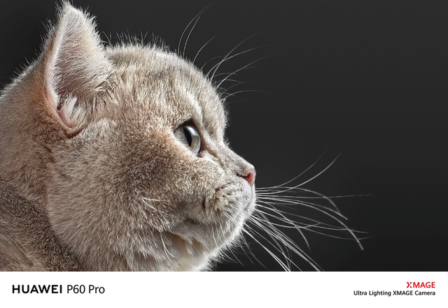 海外发布、登顶DXOMARK，华为P60 Pro如何成为影像标杆？