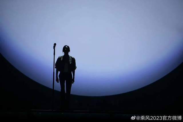 女明星上《浪姐》，求仁得仁