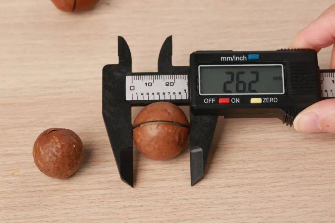 《中国坚果营养和市场发展白皮书》发布，百草味推动行业进化