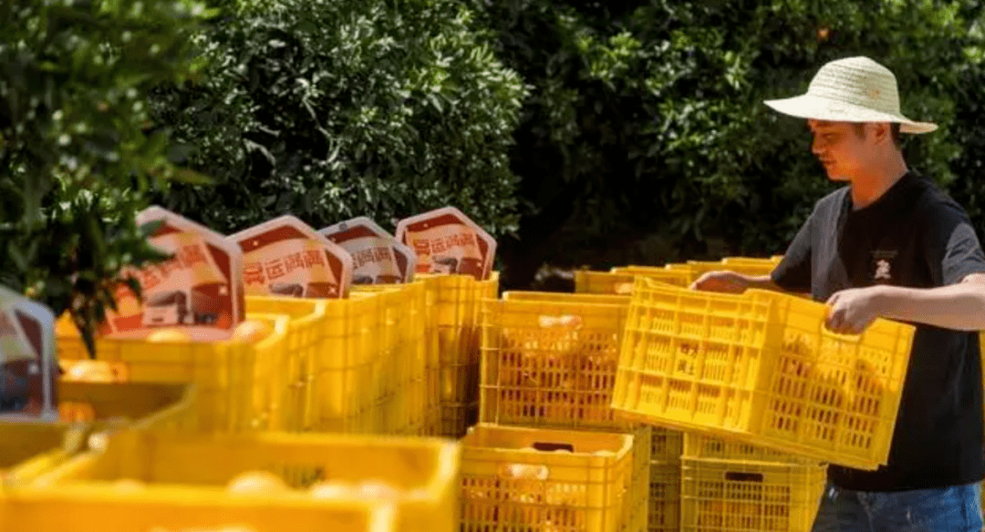 25年蓄势，冷链从零到万亿