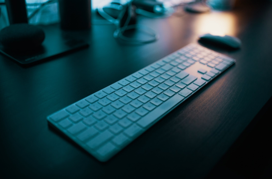 WPS X探鱼：品牌联名，洞察先行