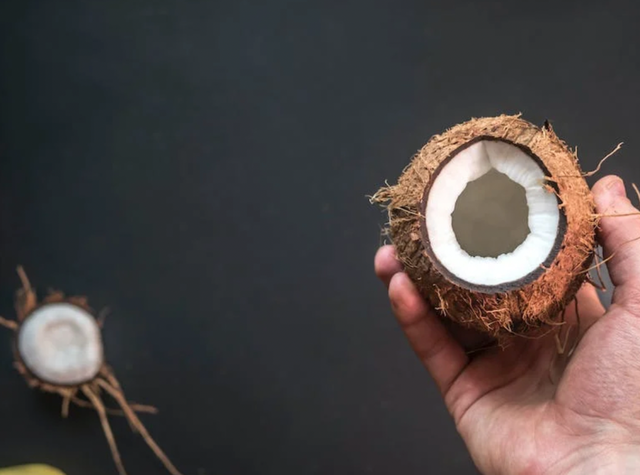 东北不拒绝椰子咖啡