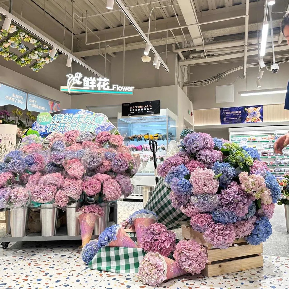 不走寻常路的盒马，是零售企业还是科技企业？