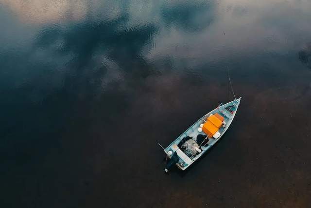 拼多多Q2财报：轻舟已过万重山