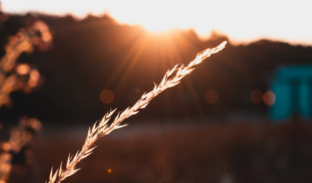 从一碗米饭到一种生活，品牌故事该这样讲述