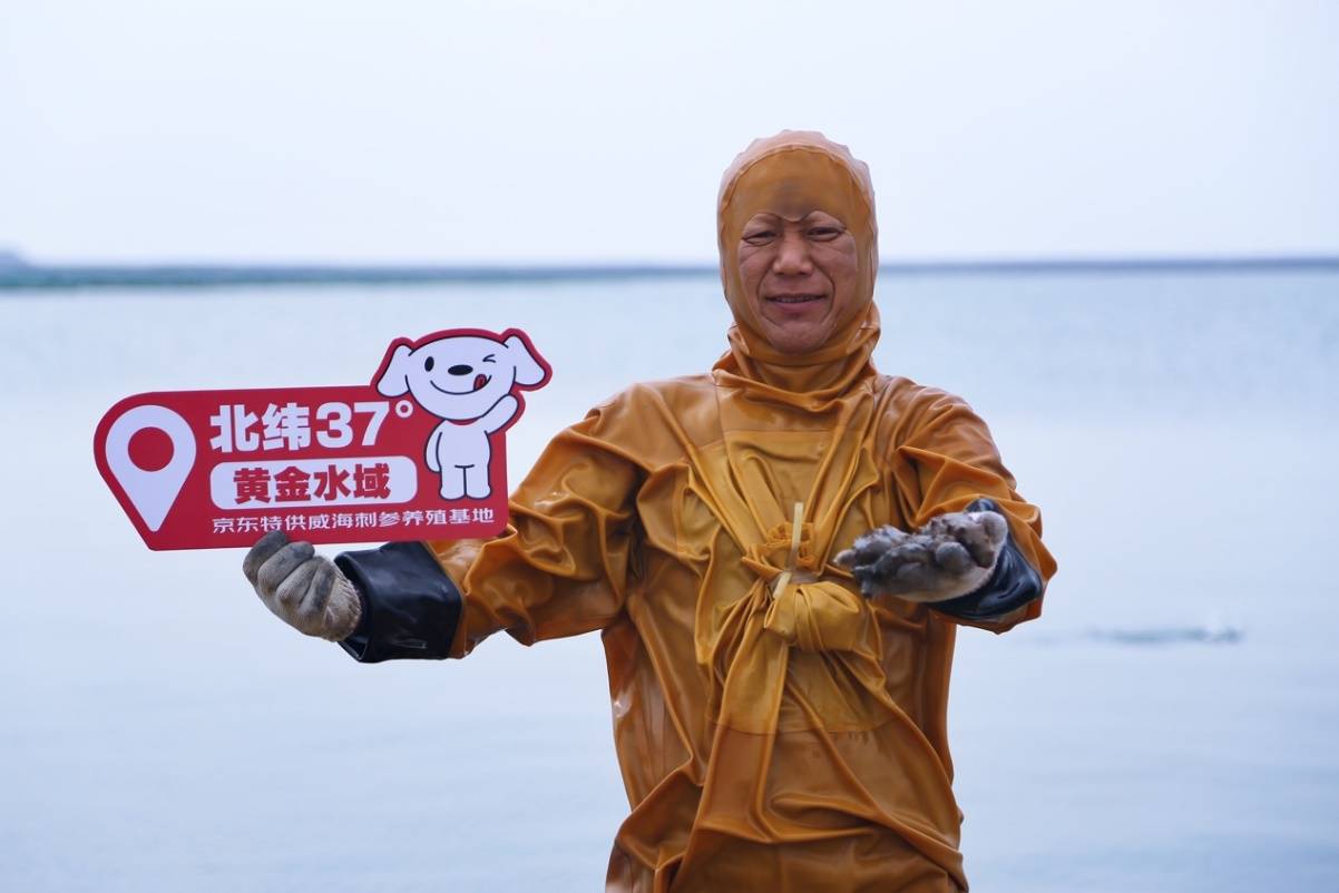 占全国三成的威海海参秋季开捕： 实现丰收4.5万吨 价格涨一成 最低价9.9元