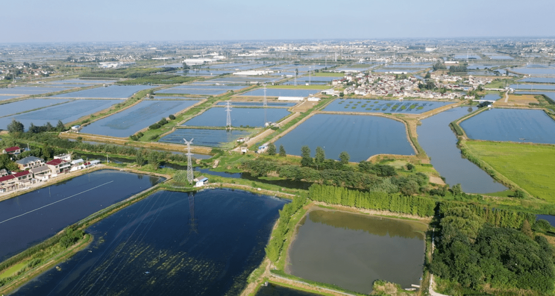 拼多多里听丰年