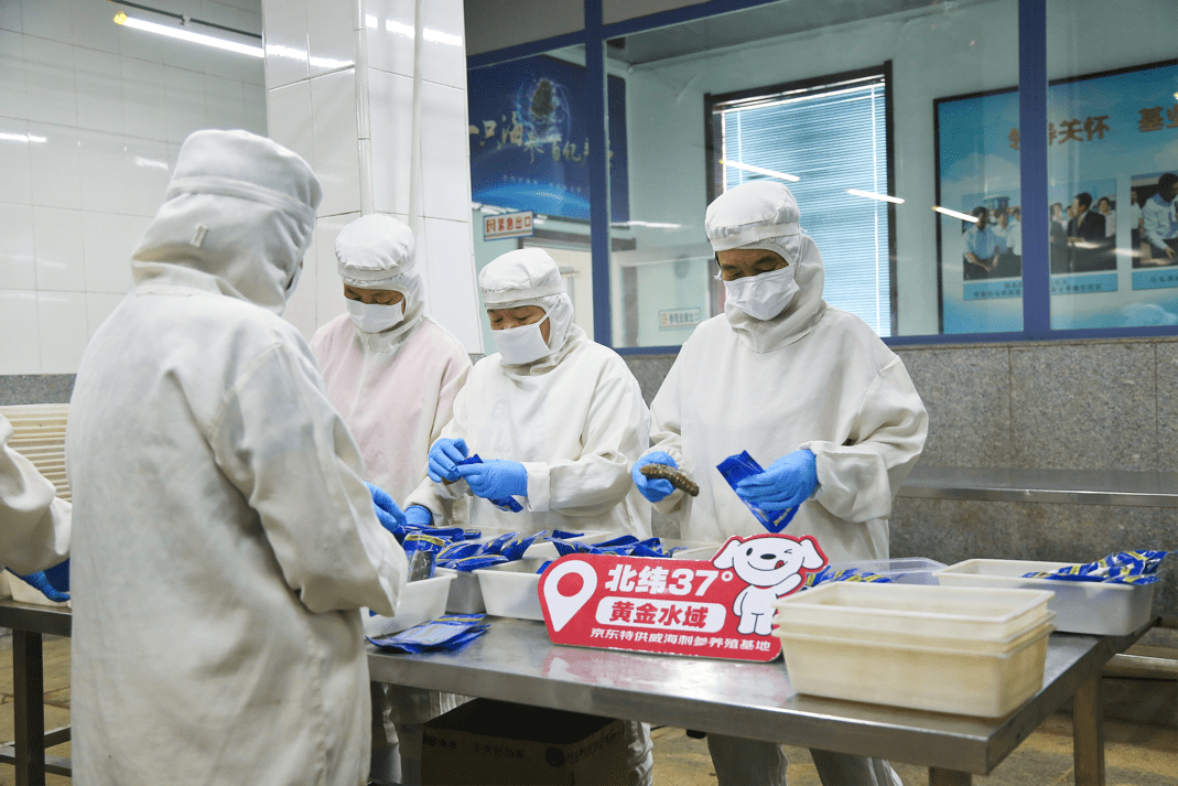 占全国三成的威海海参秋季开捕： 实现丰收4.5万吨 价格涨一成 最低价9.9元