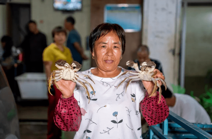 拼多多里听丰年