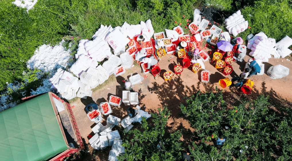 拼多多里听丰年