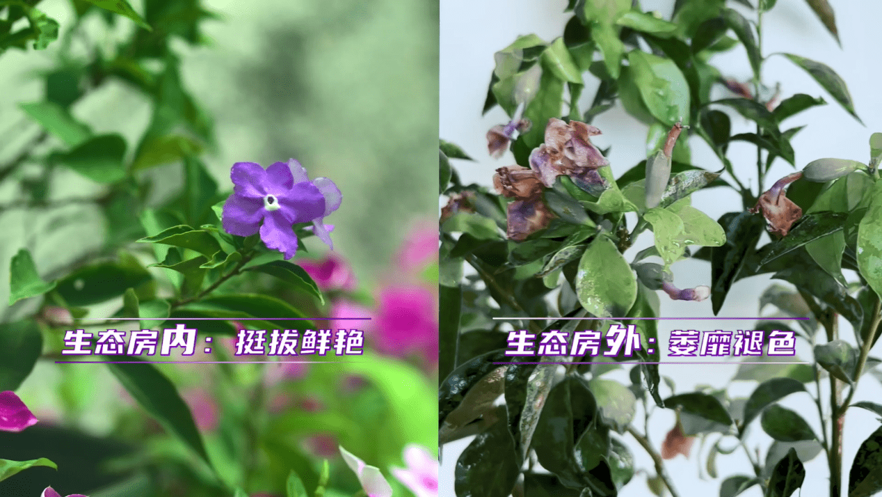 从-35℃到50℃！卡萨帝冷暖机成功显硬实力