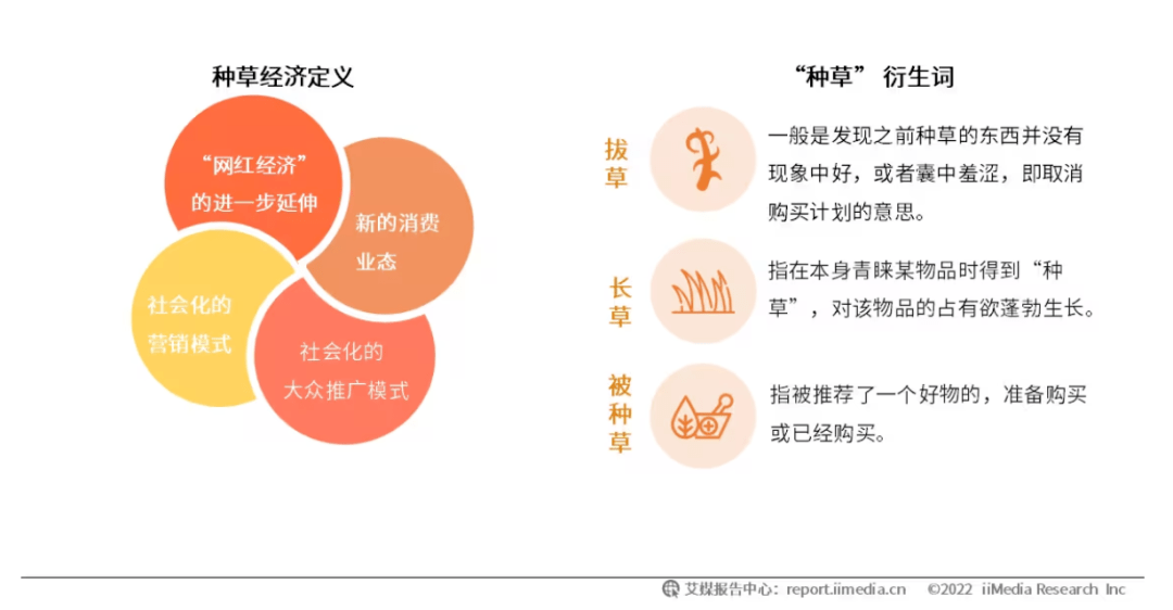 为什么说今年双11驱动好生意的是“星推搜直”？