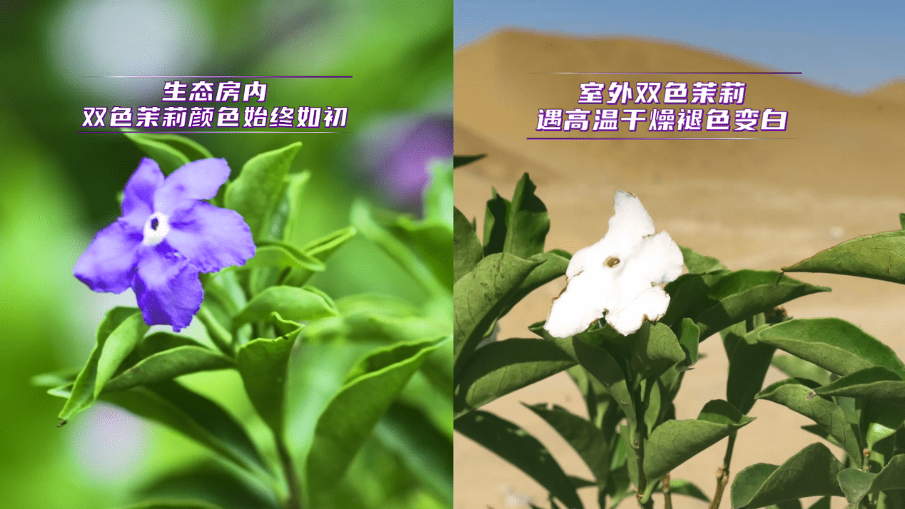 从-35℃到50℃！卡萨帝冷暖机成功显硬实力