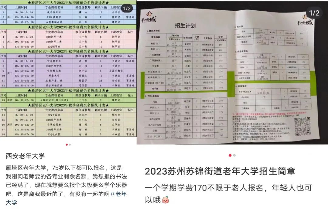 逃避内卷的年轻人，盯上了老年大学的音乐课