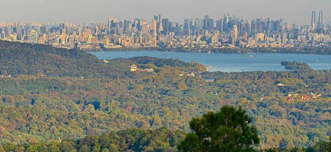 透视淘天二季度业绩：找到对抗内卷的核心科技