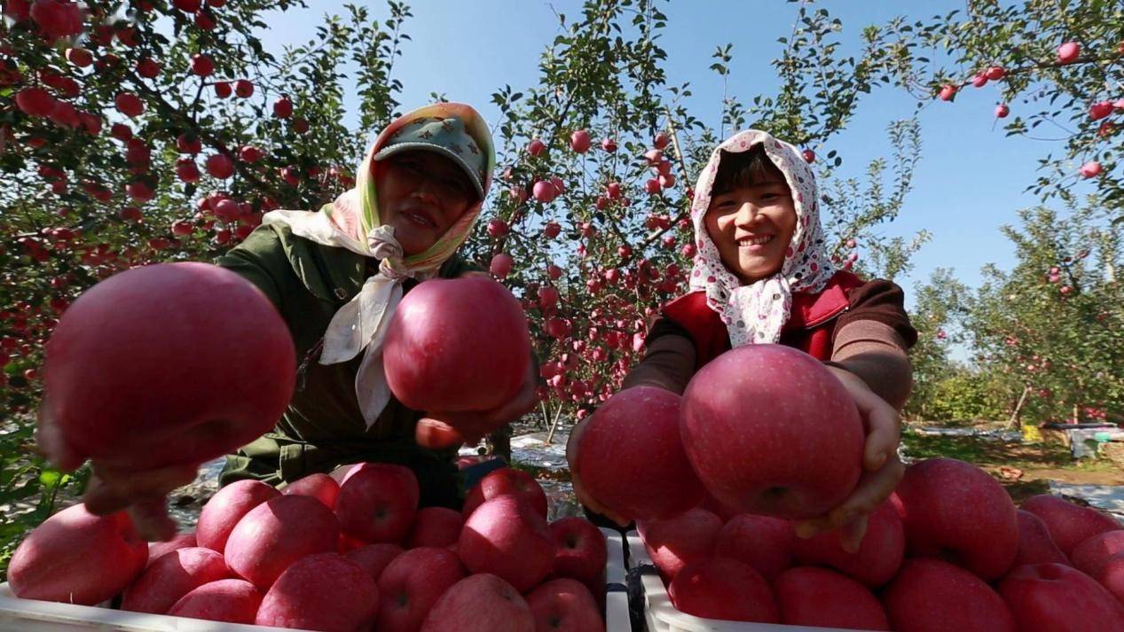 一场推介会，解锁山东品牌崛起的底层逻辑
