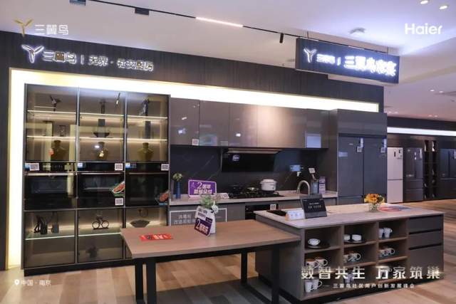 变现提速！从200+小区建三翼鸟智慧家说起