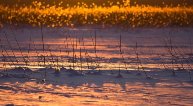 冬日取暖二三事：湖南“省服”出圈，军大衣也有“春天”