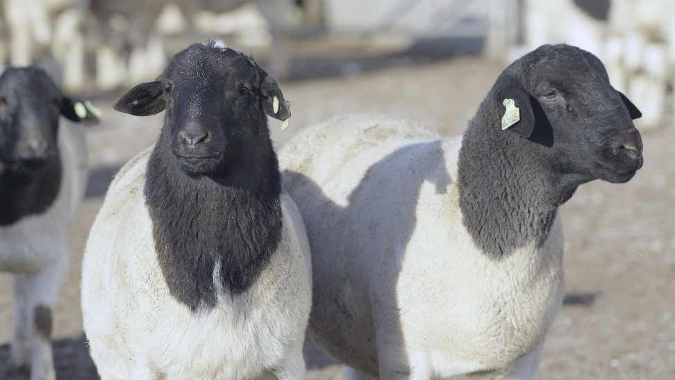 零售新业态，让老牧区焕发新生命