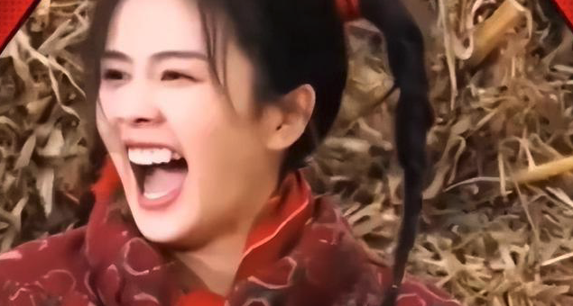 怒怼荣耀抄袭嘲讽赵明，落寞的罗永浩和被巨头们肢解的锤科……