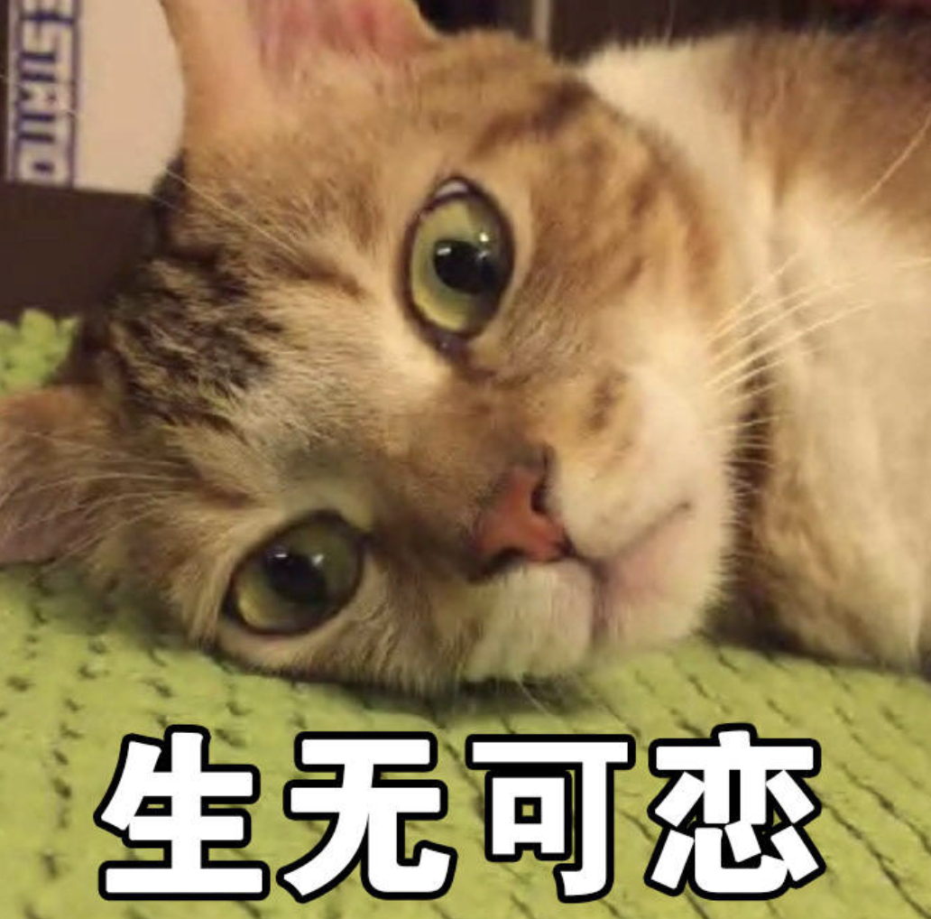 充电1小时99元！这个春运打破了电车省钱的神话…？