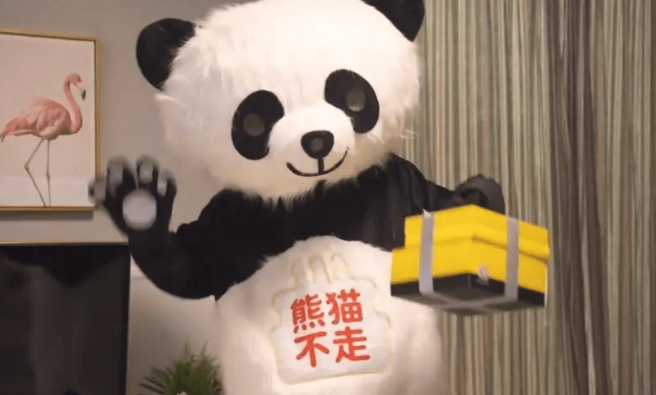 又一网红店倒下了，「情绪价值」生意大败退……