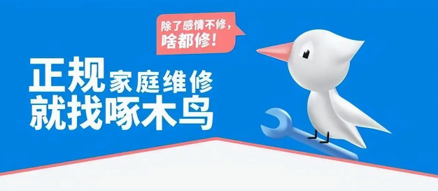 10元插座维修收268！别让啄木鸟缺席315……