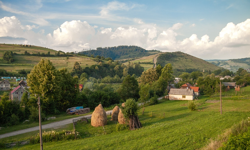 电商助农，开始拼采销了？