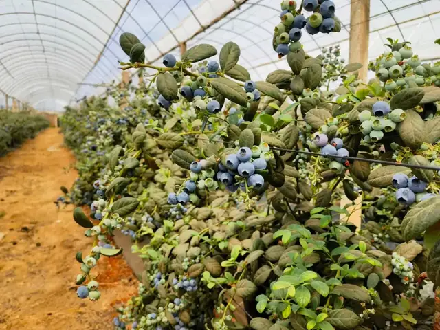 万亿GMV后，快手电商找到了“新切口”